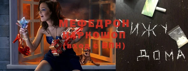 амф Няндома