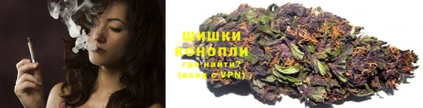 амф Няндома