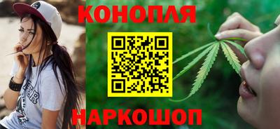 spice Обь