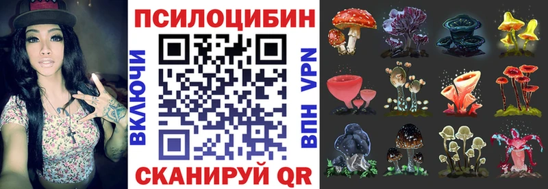 Галлюциногенные грибы мицелий  Купить  Сердобск 