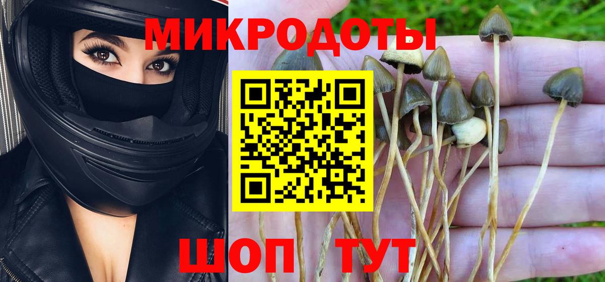 Галлюциногенные грибы Magic Shrooms  где купить наркоту  Сердобск  Псилоцибиновые грибы мицелий  Вход с VPN 