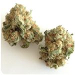 Шишки "White Widow"  (Белая вдова)  Гидропоника -  Бошка VHQ в Сердобске